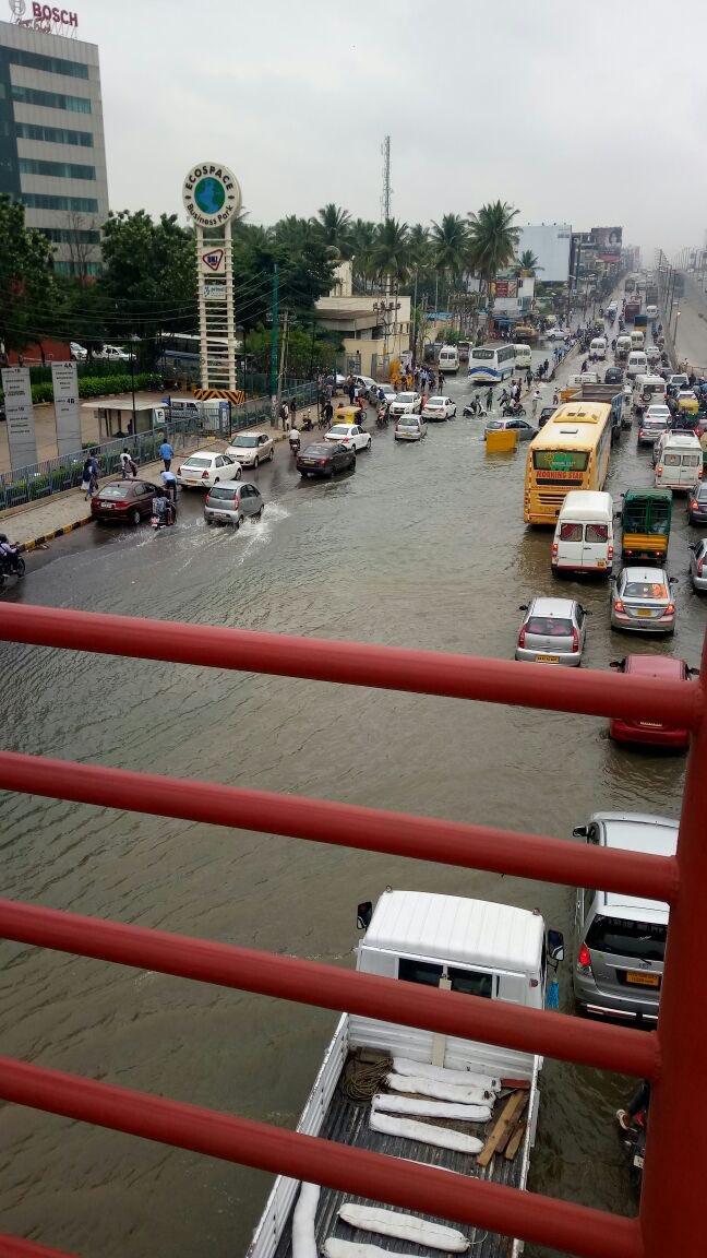 Bangalore has the 
cherry blossoms of Japan in March, 
the coolness of Switzerland in April, 

and the canals of Venice in May.

What more could you want? 

<a href="/peakbengaluru/">Pink Bengaluru</a>