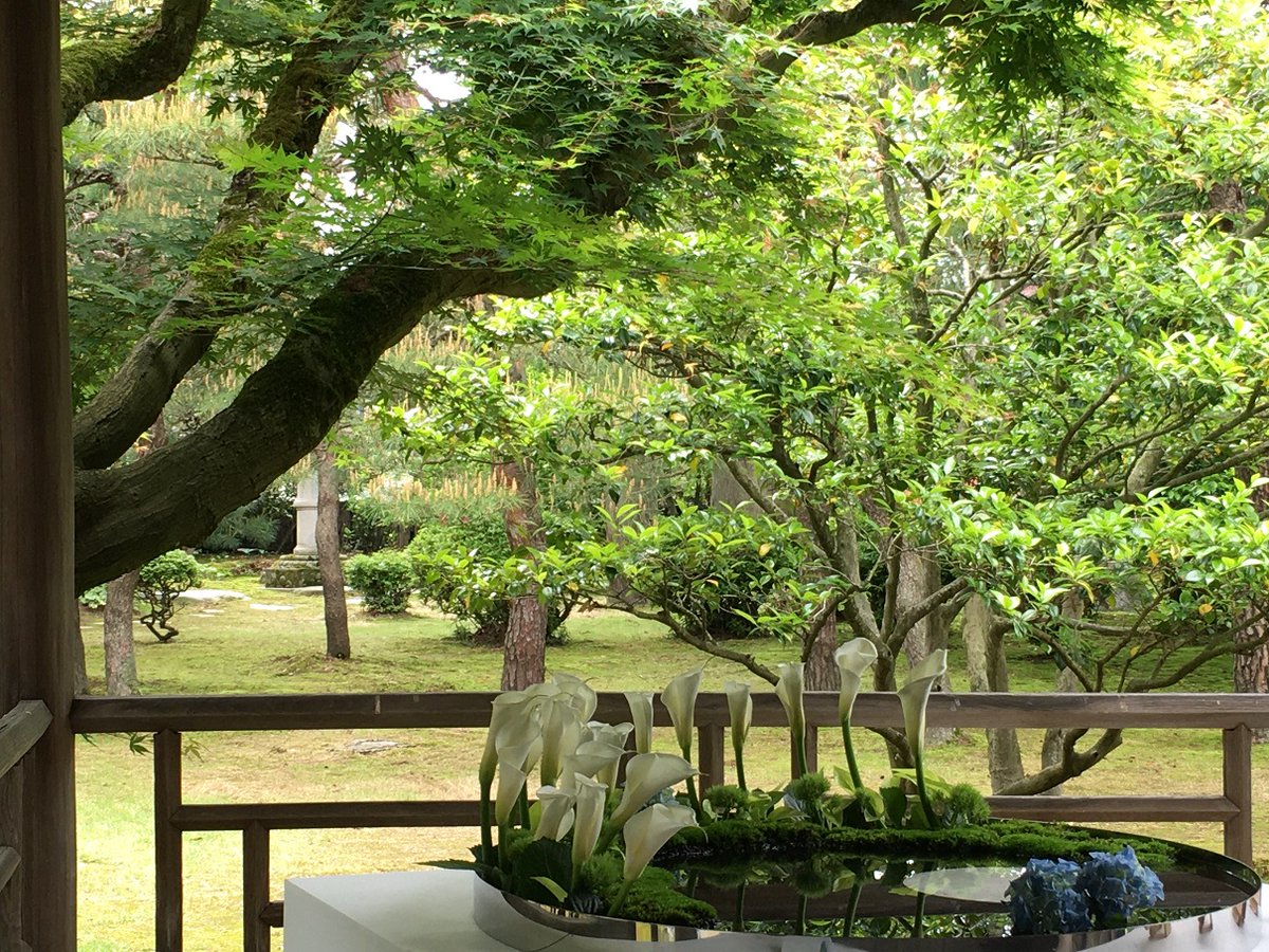 mi281969's tweet photo. 庭園を借景とした美しき生け花を鑑賞。
#gardening #japann #生け花
#flowerarrangement https://t.co/bicDd2aXB4