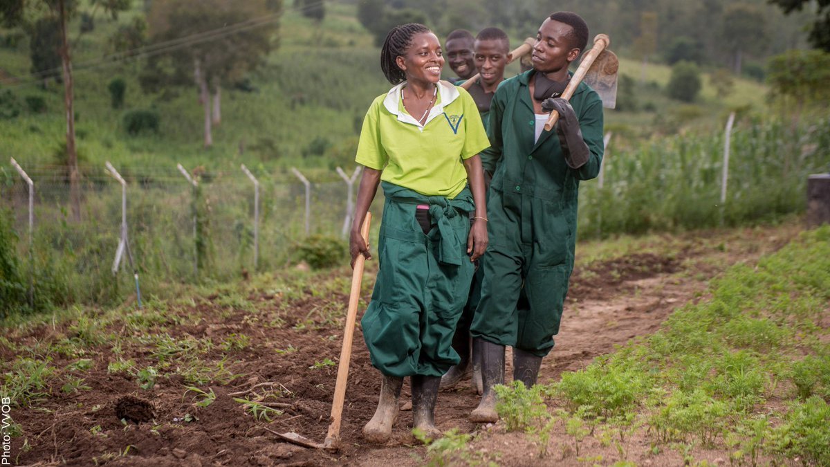 VVOBvzw's tweet photo. 📢 Are you an education researcher ready to support our work on improving the quality of education in Uganda?

We are looking for research consultants to support us in Learning Entrepreneurship and Agriculture Practically (LEAP) programme: https://t.co/sxVFdbbFVp

@VVOBinUganda https://t.co/k5fj2WxhdZ