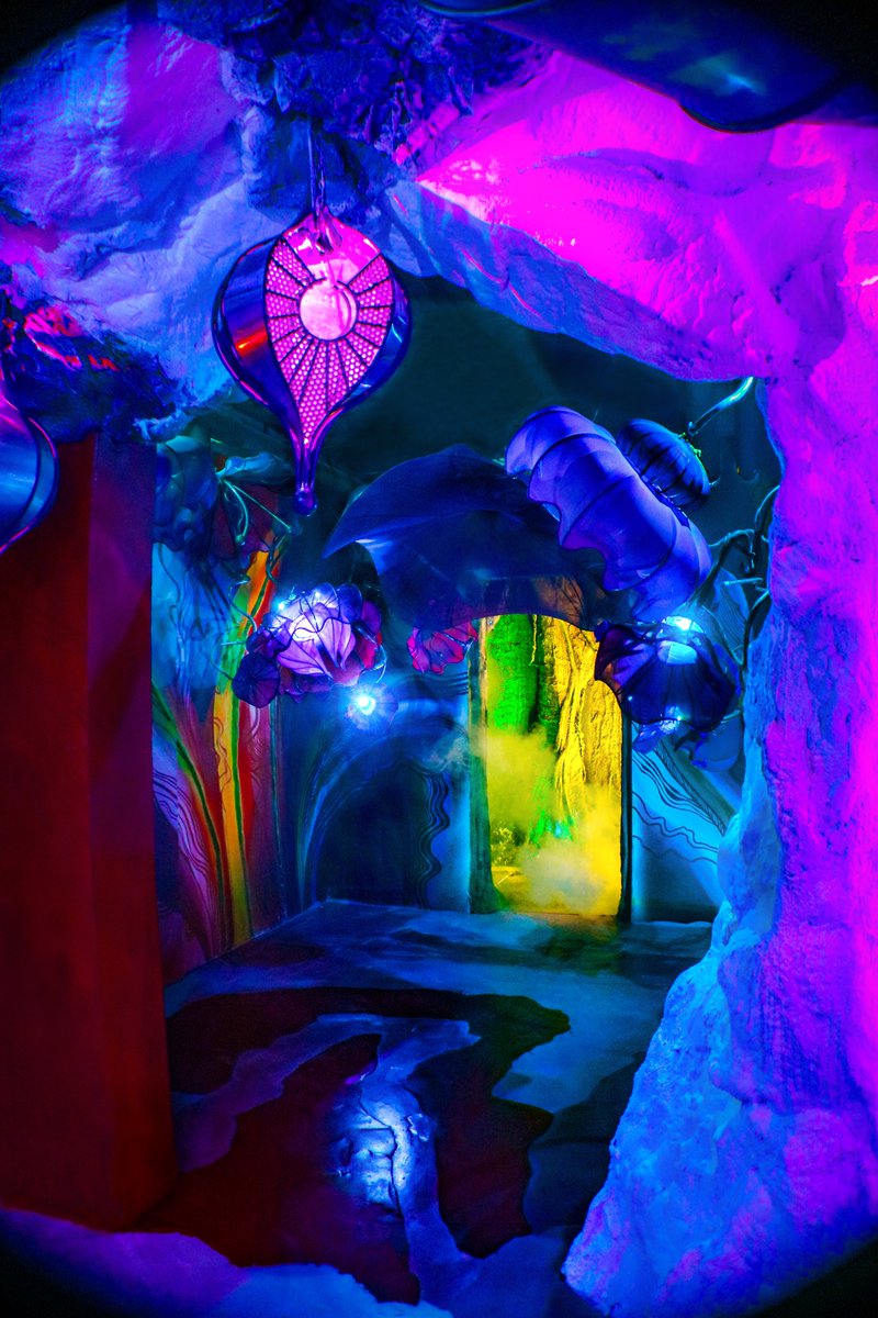 Wake The Tiger tweet media