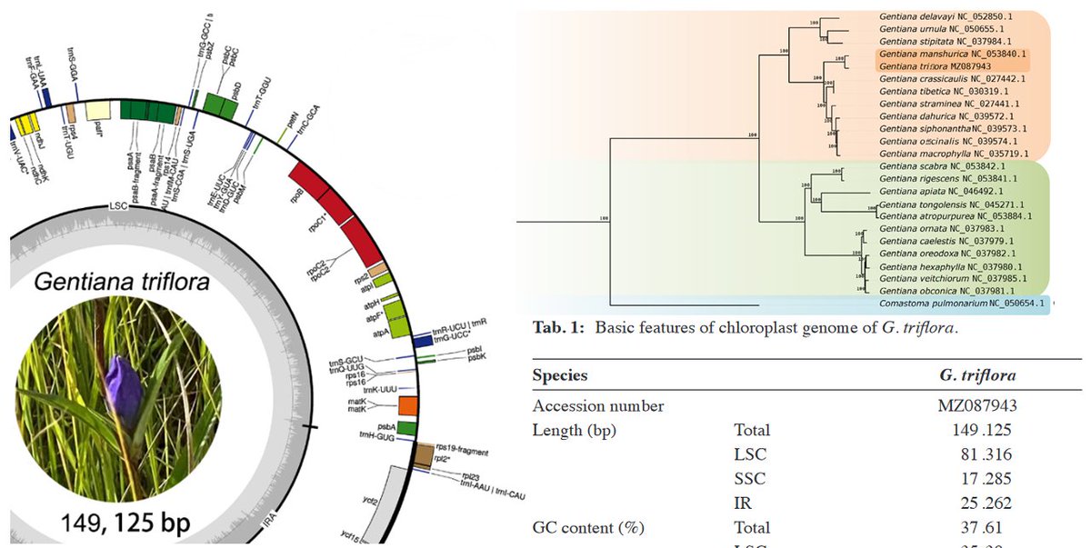 Journal of Applied Botany and Food Quality tweet media