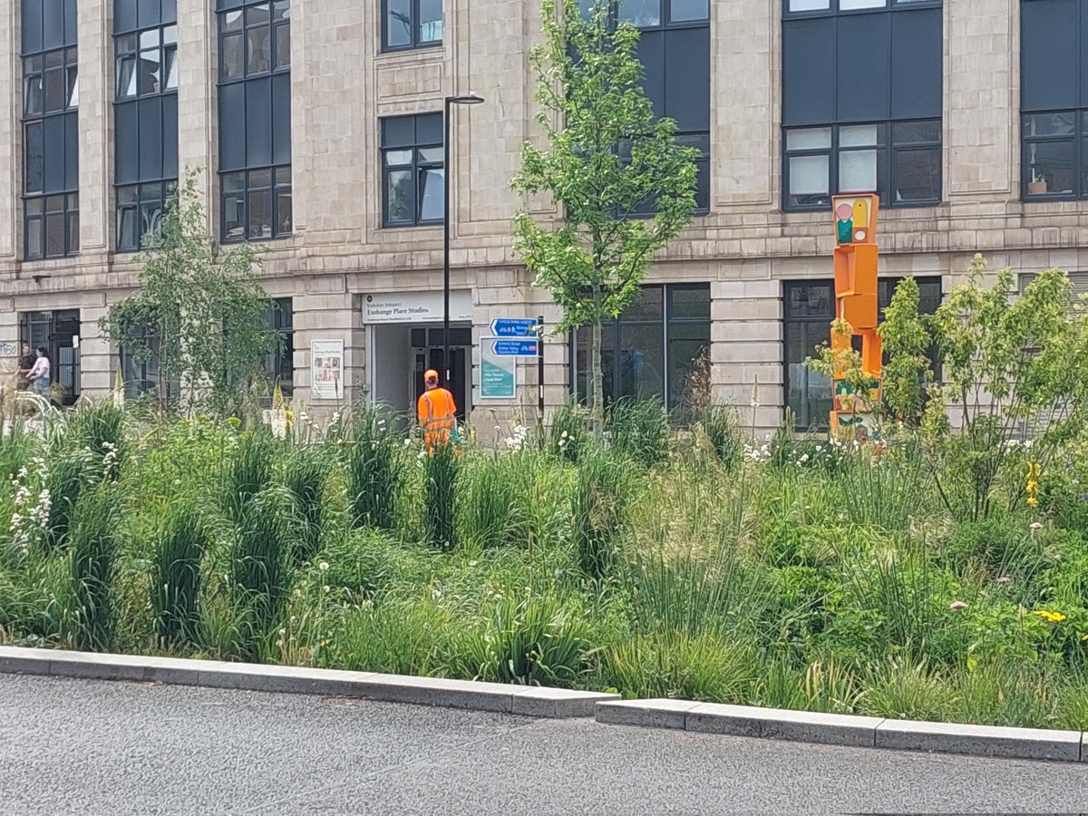 Disappointed to see either @SheffCouncil or @sccstreetsahead spot spraying pesticides on the much applauded #greytogreen in #sheffield yesterday. On behalf of the invertebrates, use garden tools for weeding! @theoutdoorcity @DouglasJSheff @GrahamWroe