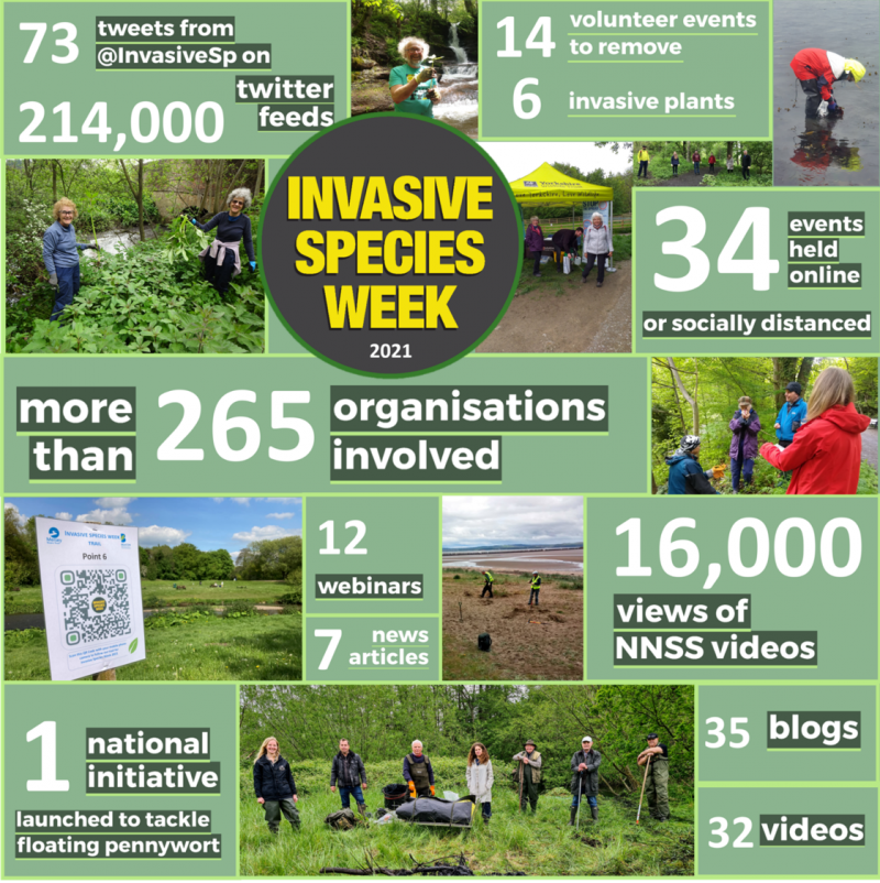 groundscareuk's tweet photo. It's Invasive Species Week. This annual event, run by the Non-Native Species Secretariat highlights the problems caused by invasive species and what everyone can do to prevent further spread.  Find out how you can get involved...
https://t.co/xTfXfnlLEX https://t.co/FdCg5ataUb