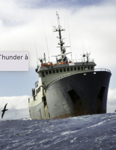BPASQUET's tweet photo. 📚 Lisez "A la poursuite du Thunder". Un formidable thriller d'investigation de Eskil Engdal chez @ActesSud qui conte cette mobilisation de @SeaShepherdFran pour lutter contre une forme de criminalité trop peu connue : les pêches illégales et massives en Antarctique.
@dneskil https://t.co/2fujgci0Vs