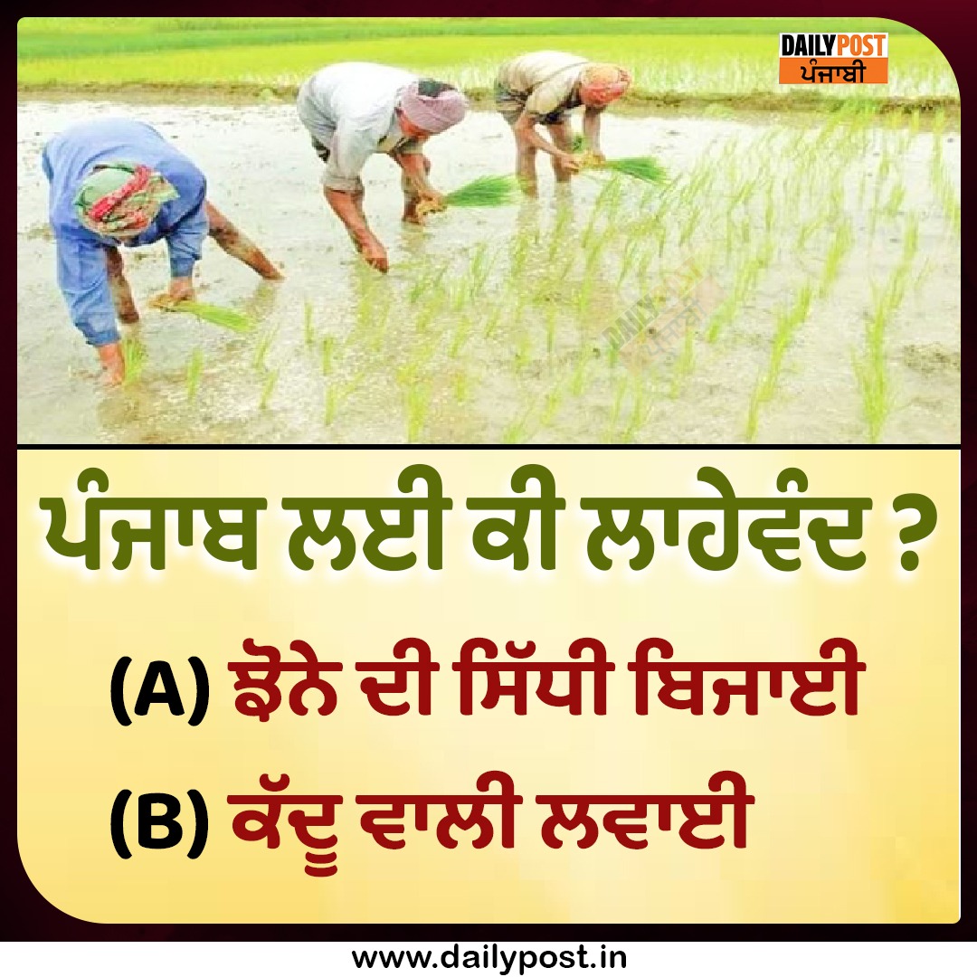 dailypostpunjab's tweet image. ਪੰਜਾਬ ਲਈ ਕੀ ਲਾਹੇਵੰਦ ?
A ਝੋਨੇ ਦੀ ਸਿੱਧੀ ਬਿਜਾਈ 
B ਕੱਦੂ ਵਾਲੀ ਲਵਾਈ

#Punjab #Farmer #Benificial #SowingPaddy #PumpkinPlanting #Dailypostpunjabi