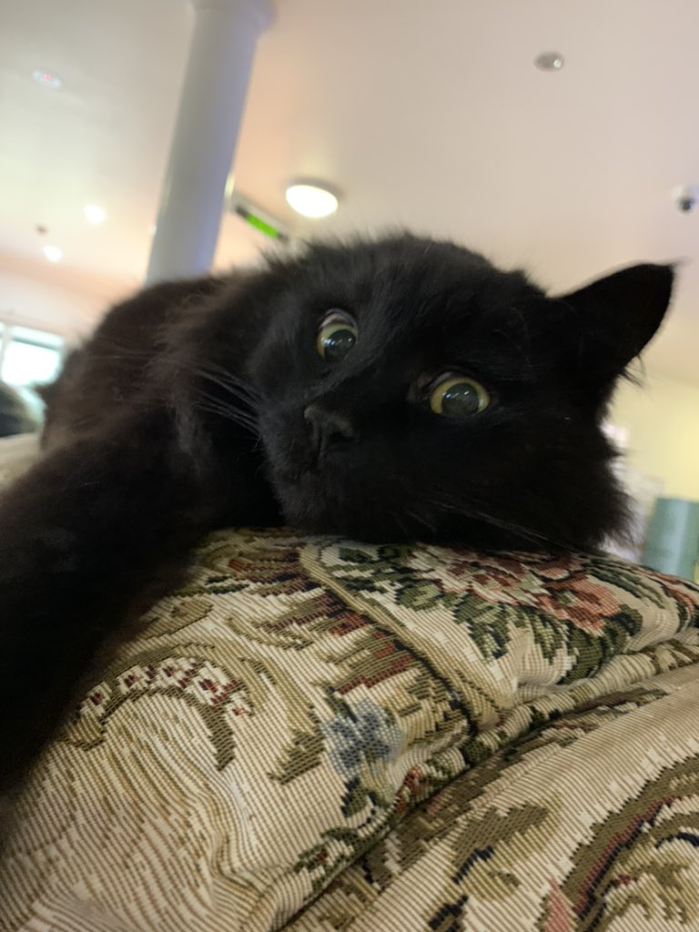 Boop