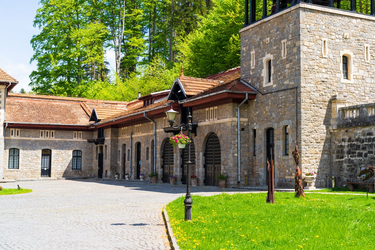 adspedia's tweet image. On Friday I was pushing out the #PlatformWeek Cloudflare blog posts from the Cantacuzino Castle, in Bușteni, România, with this view out the window. And since &quot;we&apos;re only getting started&quot; - as @zatlyn likes to say, the next innovation week is in the preps...😉