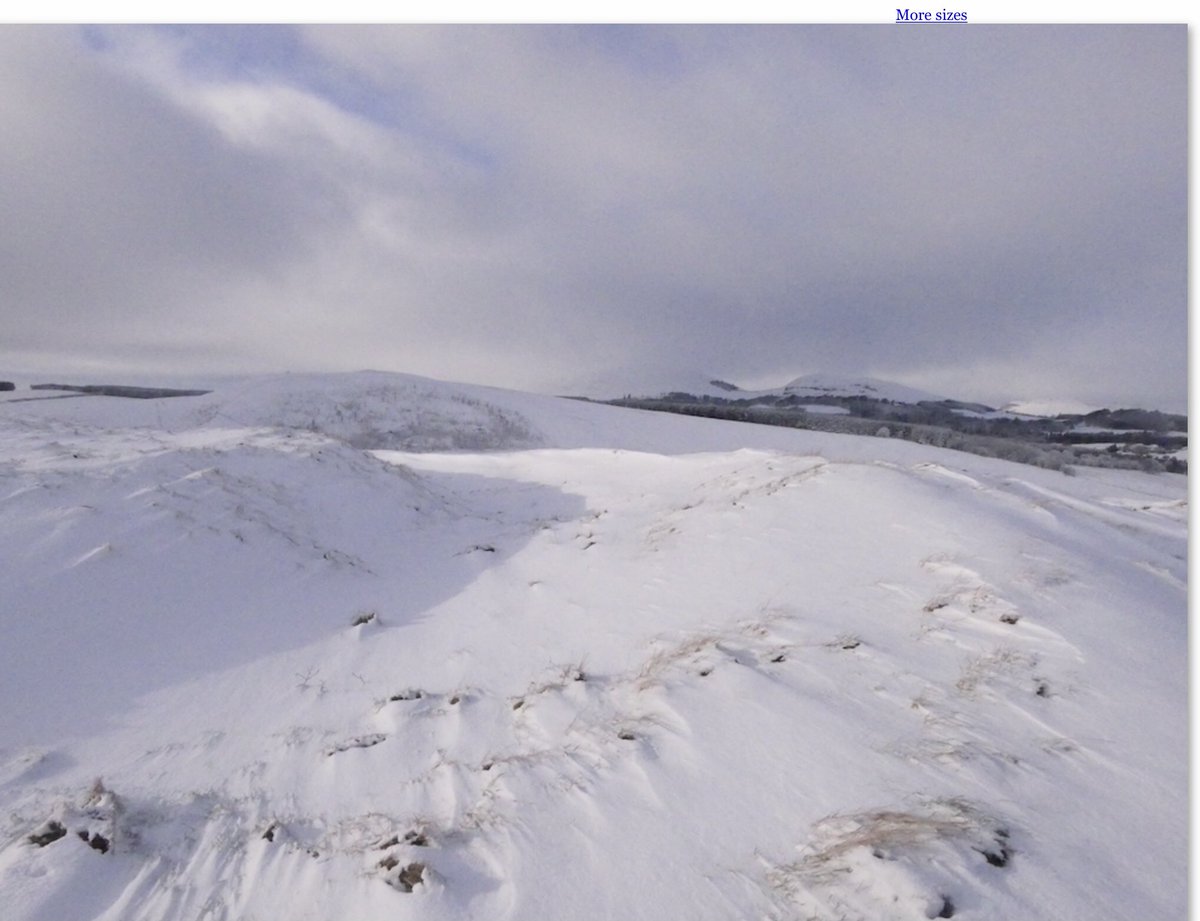 silverhills64's tweet photo. Blyth Hill, west of Peebles stands at 308m a #contour #multivallate fort with evidence of 4 ramparts, 3 entrances and a series of quarried scoops. #HillfortsWednesday https://t.co/92mDbuxlfl
