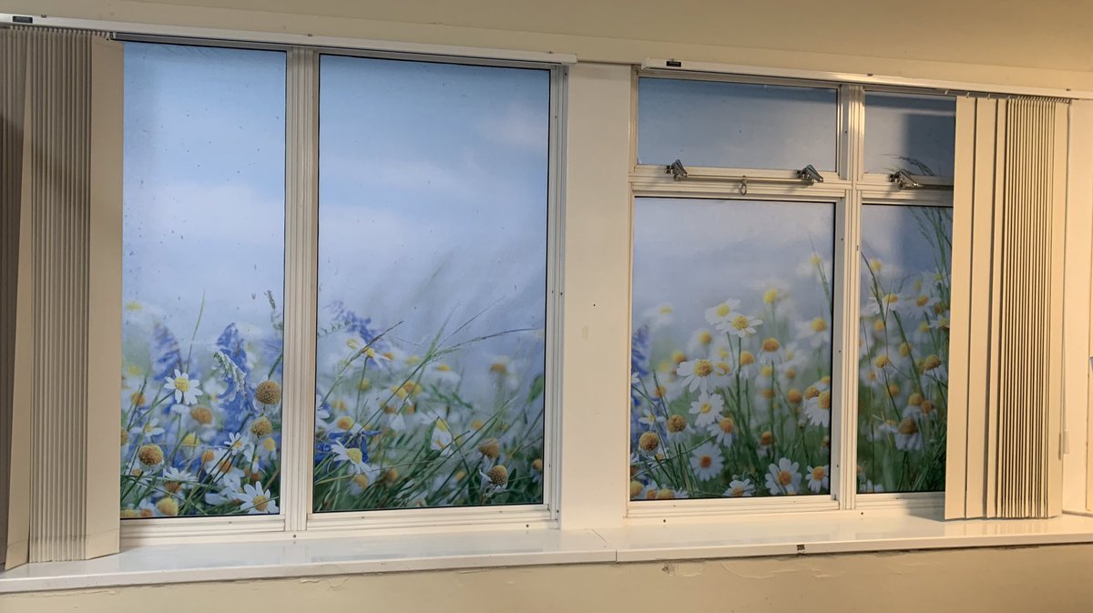 Helen Smith (@helen_smith1501) on Twitter photo First of our recovery windows have had a little make over. Main recovery next. Looks great. @kate_a_howarth <a href="/DNDTeam_Surgery/">Lisa Elliott</a> <a href="/TLthtr/">Theatres_LTHTR</a> First of our recovery windows have had a little make over. Main recovery next. Looks great. @kate_a_howarth <a href="/DNDTeam_Surgery/">Lisa Elliott</a> <a href="/TLthtr/">Theatres_LTHTR</a>