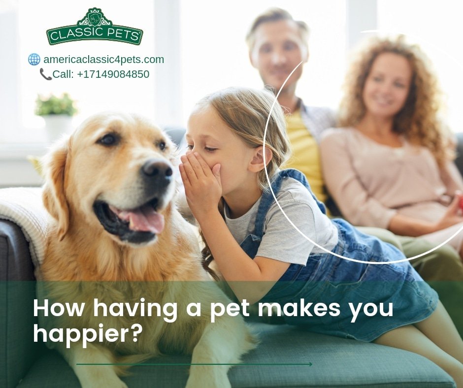 classic4pets's tweet photo. Having a pet makes you happier!
✨ Simply spending quality time with your cat or dog can help make you feel needed, and there have been studies to prove this.
Don`t have a pet? Consider buying one for the reasons mentioned above. #reducestress #reduceanxiety #petlovers #lifestyle https://t.co/ECKnMm8Mk1