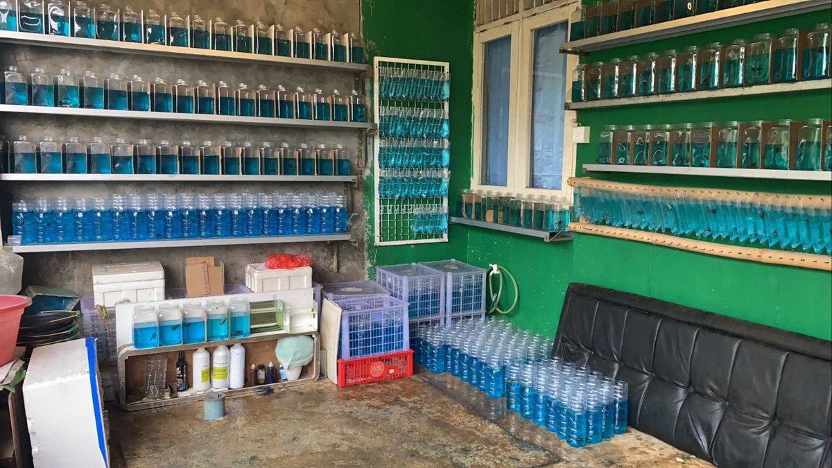 The blues👌🏻🥵