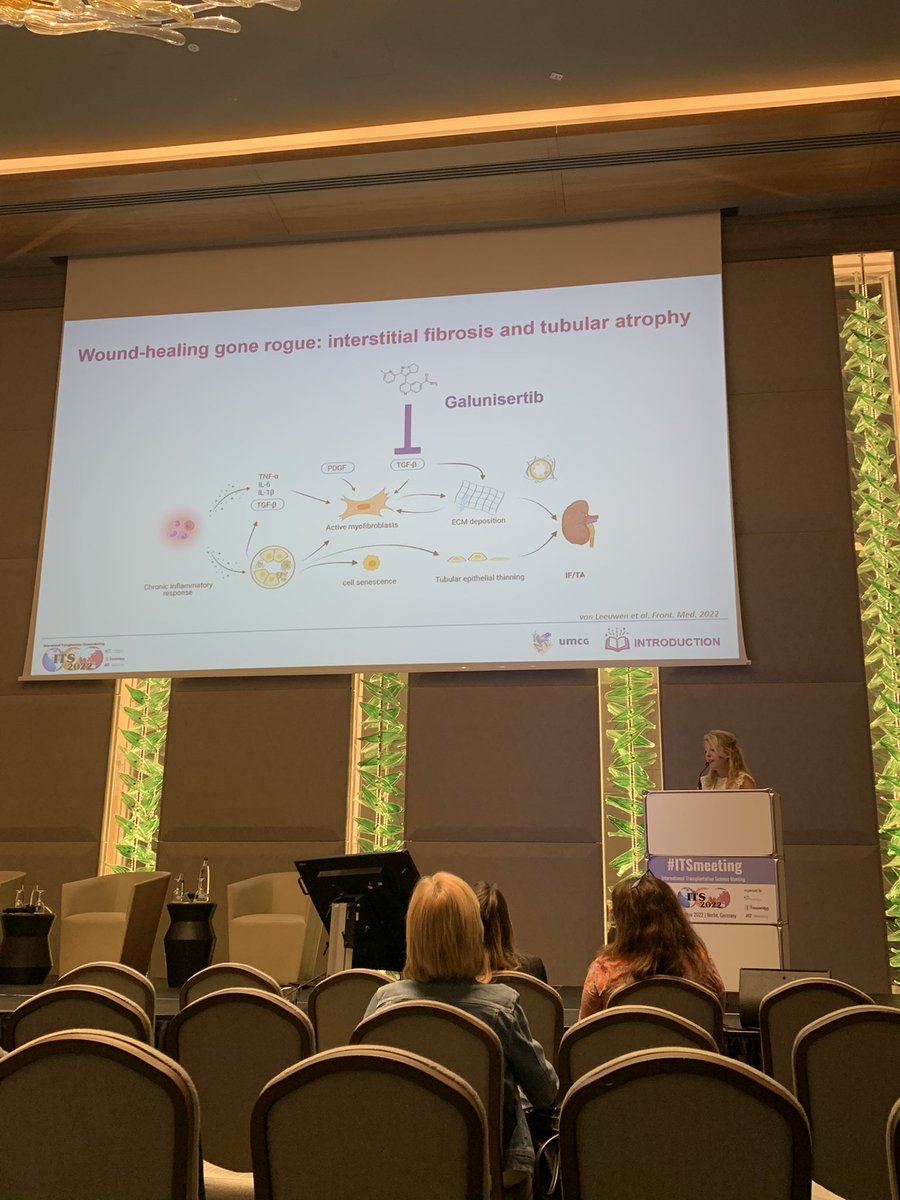 Best abstract session #ITSmeeting Excellent talk by Leonie van Leeuwen on targeting kidney fibrogenesis during normothermic machine perfusion #transplant #machineperfusion