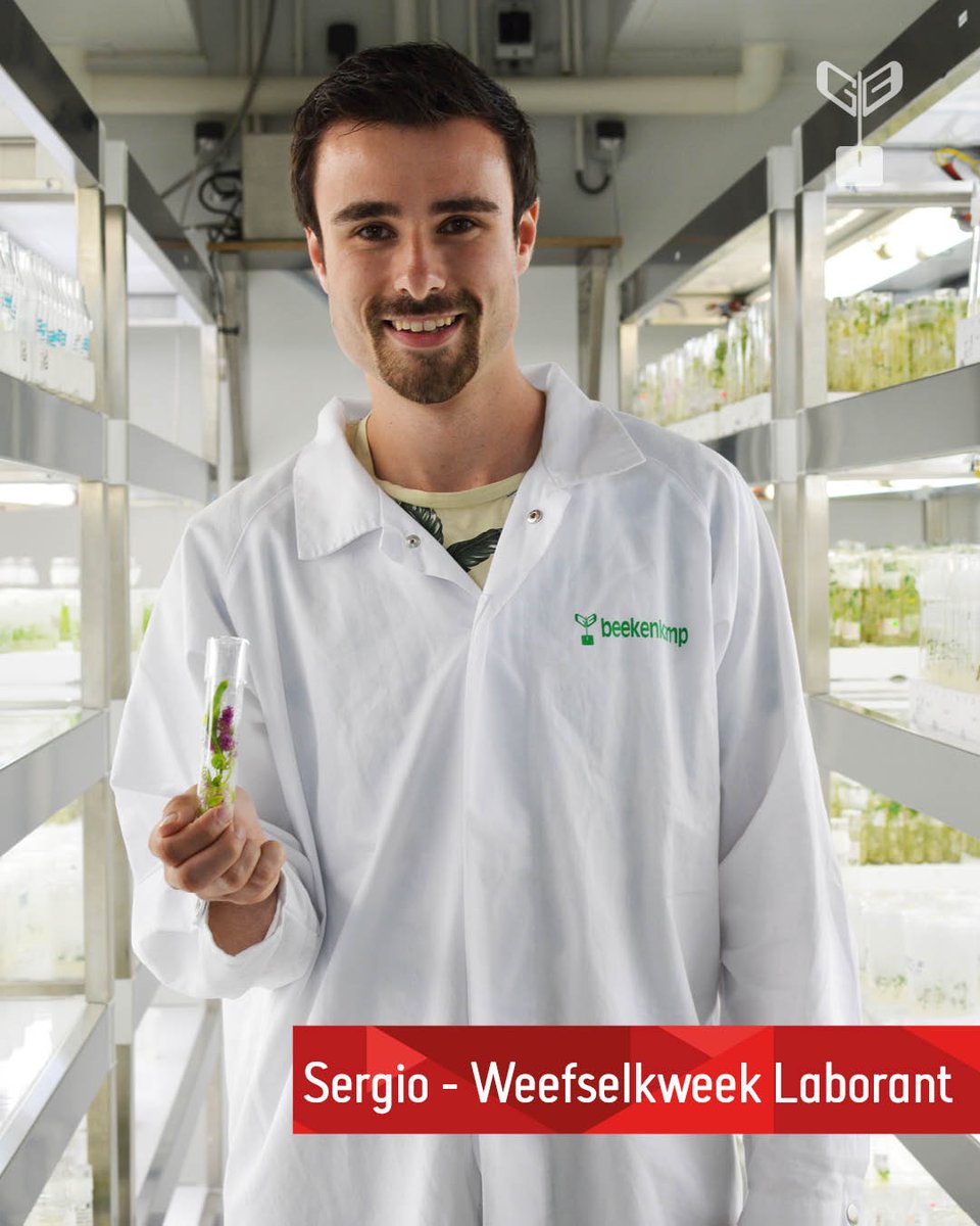 BeekenkampNL's tweet image. Vandaag is Wereld Plantendag! 🌱
Binnen Beekenkamp Plants werkt iedereen voor hetzelfde einddoel, namelijk de beste kwaliteit jonge planten afleveren! En ook al heb je geen groene vingers, binnen ons internationale familiebedrijf zijn volop mogelijkheden. 
lnkd.in/e9Ry74Ju