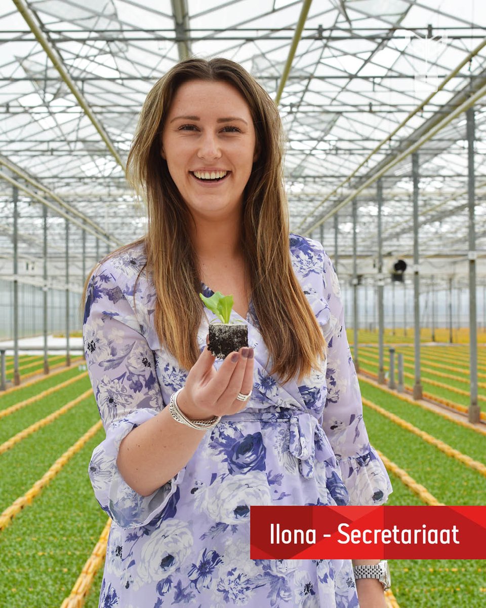 BeekenkampNL's tweet image. Vandaag is Wereld Plantendag! 🌱
Binnen Beekenkamp Plants werkt iedereen voor hetzelfde einddoel, namelijk de beste kwaliteit jonge planten afleveren! En ook al heb je geen groene vingers, binnen ons internationale familiebedrijf zijn volop mogelijkheden. 
lnkd.in/e9Ry74Ju