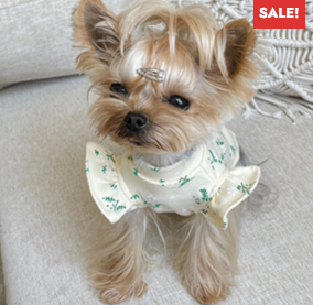TranidyOfficial's tweet photo. May 18, 2022 
Product: Dog shirt 
Shipping: Worldwide
💰: $13.9
DM me if you like this product...
#dog #dogsoftwitter #puppy #dogfashion #pet #pets #petfashion https://t.co/e6tqaJcIRh