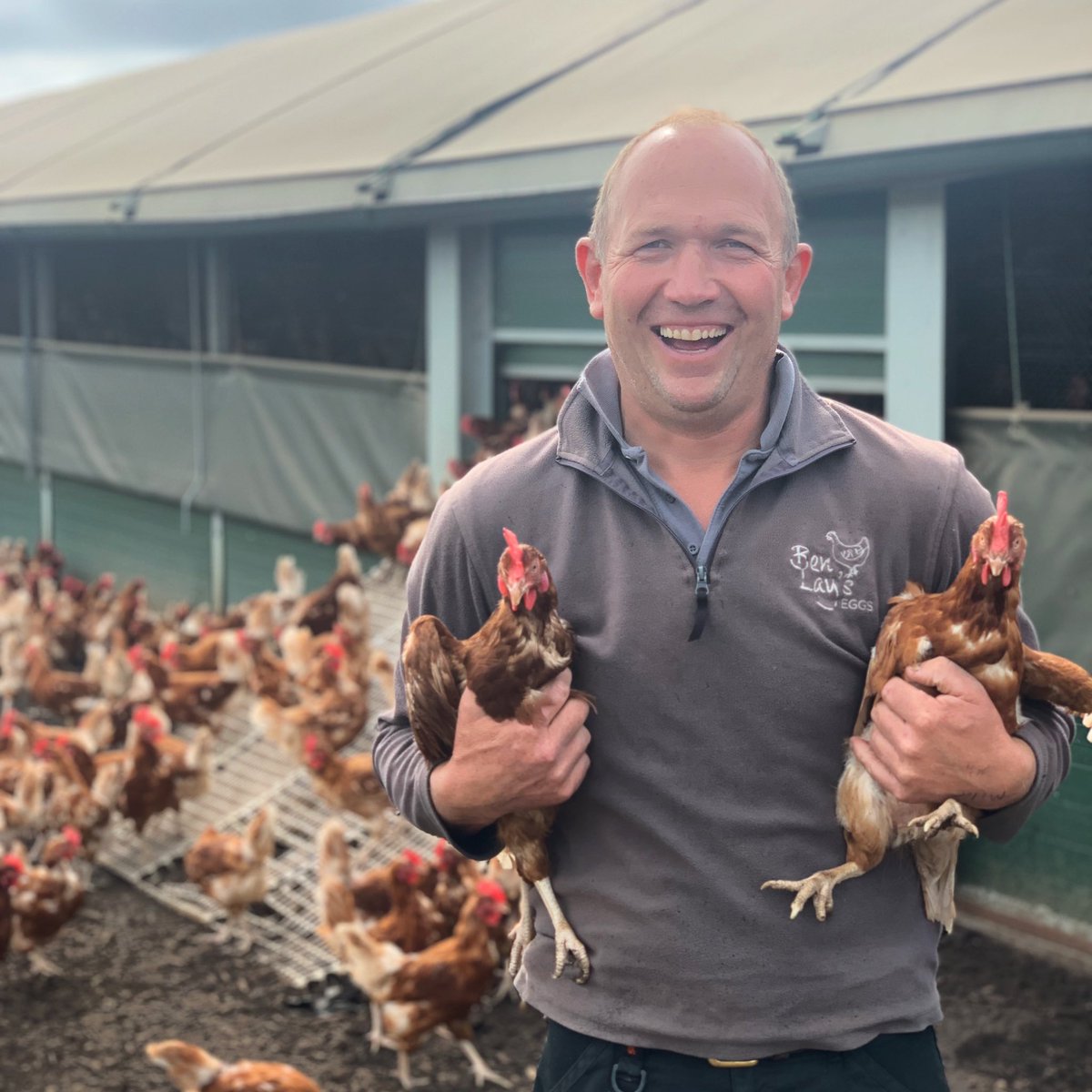 ploughathanney's tweet photo. We are very excited to be working with another local farmer @benlayseggs supporting local, using free range chickens, and you might see Ben in the pub testing the Guinness #supportlocal #supportfarmers #freerange 🐓🐓🐓🐓🐓🐓🐓🐓🐓🐓🐓🐓🐓🐓🐓🐓🐓 https://t.co/uslZnHgA2g
