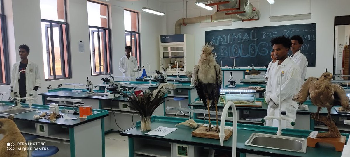 RoraProject's tweet photo. Today Rora had participated in a Science Day arranged by the College of Science at Mai Nefihi. Rora had displayed its content to visitors and provided a wi fi access to users that included high school students from Zoba Maekel.#EritreaPrevails https://t.co/UpHN7gPHhx