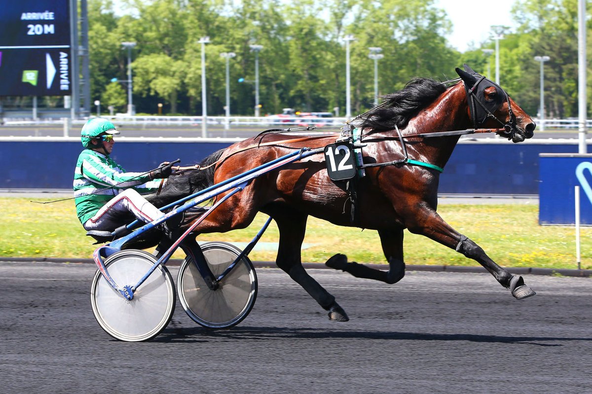 😳 𝑱𝒖𝒔𝒉𝒖𝒂 𝑻𝒓𝒆𝒆 (<a href="/RomainCongard/">romain congard</a>) continue d'impressionner ! 

Le fils de <a href="/BoldEagle_Trot/">🇫🇷𝙱𝙾𝙻𝙳 𝙴𝙰𝙶𝙻𝙴 ♞</a> et Ma Sissi James a survolé le Prix de Dreux pour sa première apparition sur l'hippodrome de Vincennes et reste invaincu en 3 sorties 💯