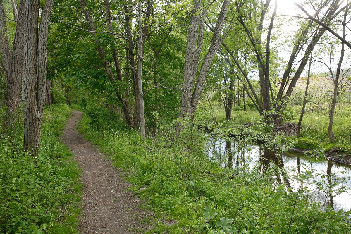 DS_MikeFR's tweet photo. I was glad to watch @CityOneonta council approve funding for the Mill Race trail last night. This footpath will soon be a full-blown multiuse/bicycle trail in Neahwa Park connecting River Street to New Island. https://t.co/rtuh9MYTu3