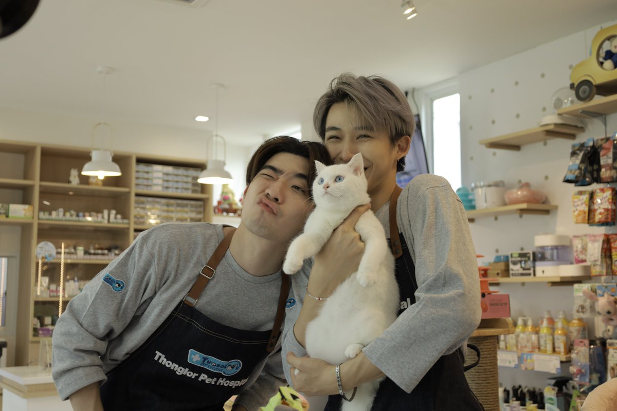 copya_bangkok's tweet photo. รูปหมู่แมว😺😺😺 #YOUEP5 https://t.co/FOgamP0b7Q