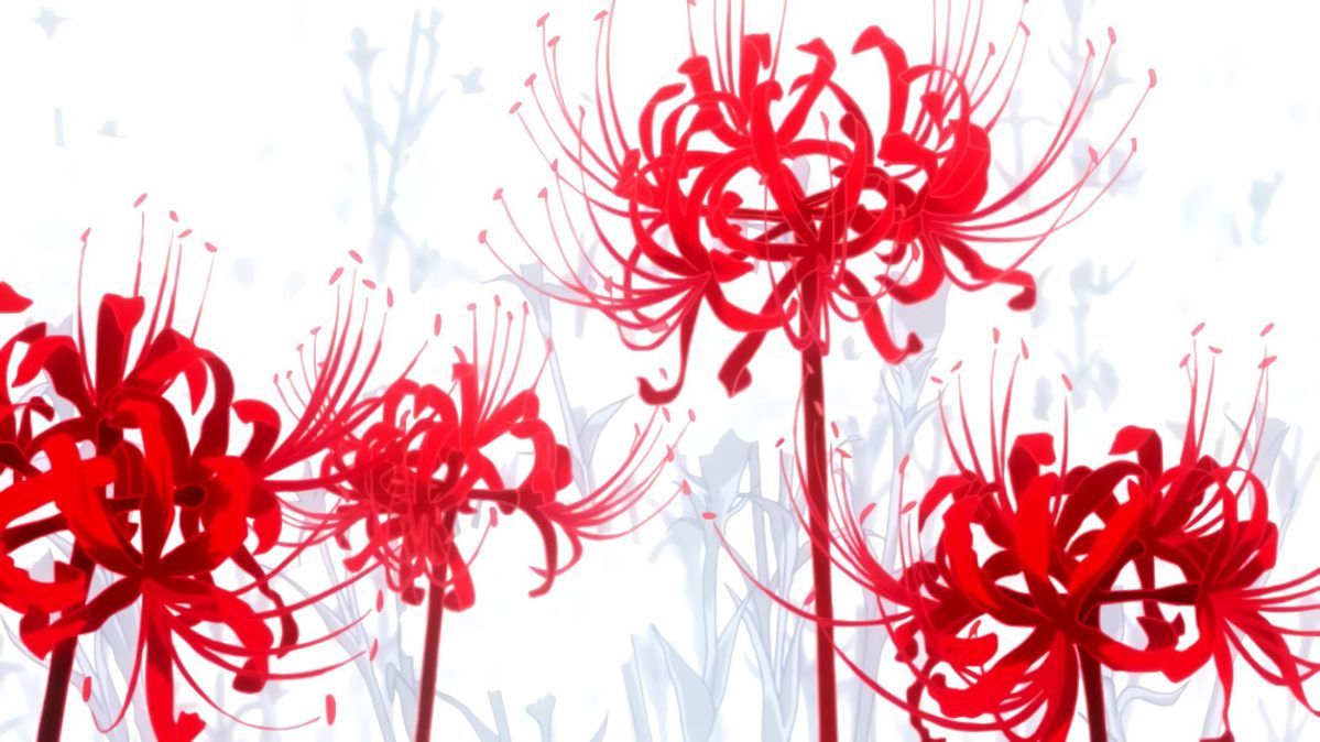nostalgiaa's tweet photo. lycoris radiata https://t.co/opf4rLy86T