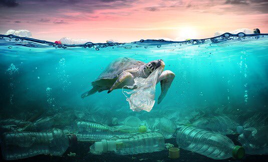 Risefe22's tweet photo. #saveouroceans #plasticpollution #chemicalrecycling #circulareconomy #plastic2plastic https://t.co/hb8DMt9pBW