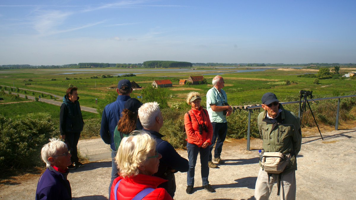 KNNVwalcheren's tweet photo. De excursie naar #Waterdunen was een groot succes! Met ongeveer twintig mensen gingen we afgelopen zaterdag met de fiets naar de 'overkant'. Eric Marteijn en Peter Meininger leidden ons rond. We zagen o.a. grote sterns, koninginnenpages en reuzenpaardenstaarten. https://t.co/x6ZhCqv9Jd