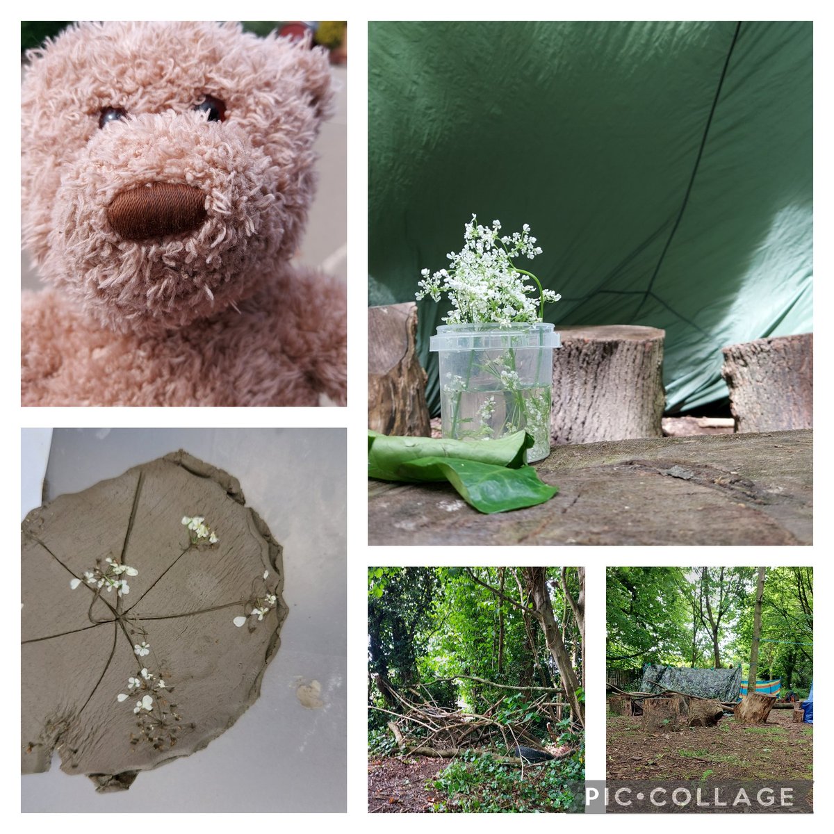 Airmyn Park Primary tweet media