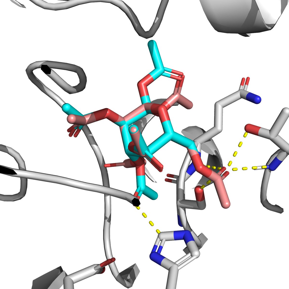 Alfonso T. García-Sosa tweet media