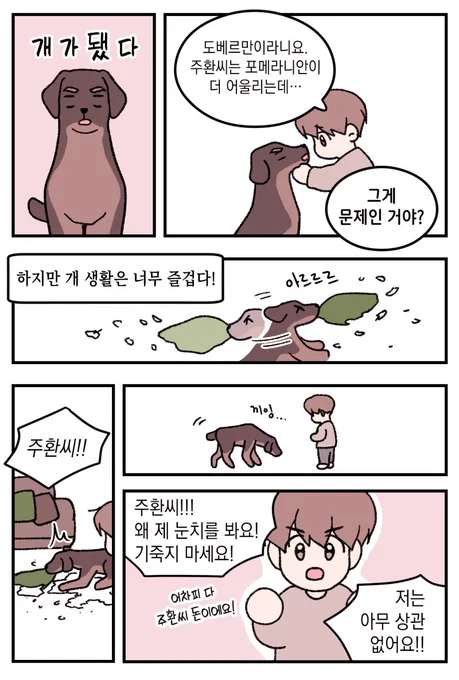 개가 된 주환씨🐶 