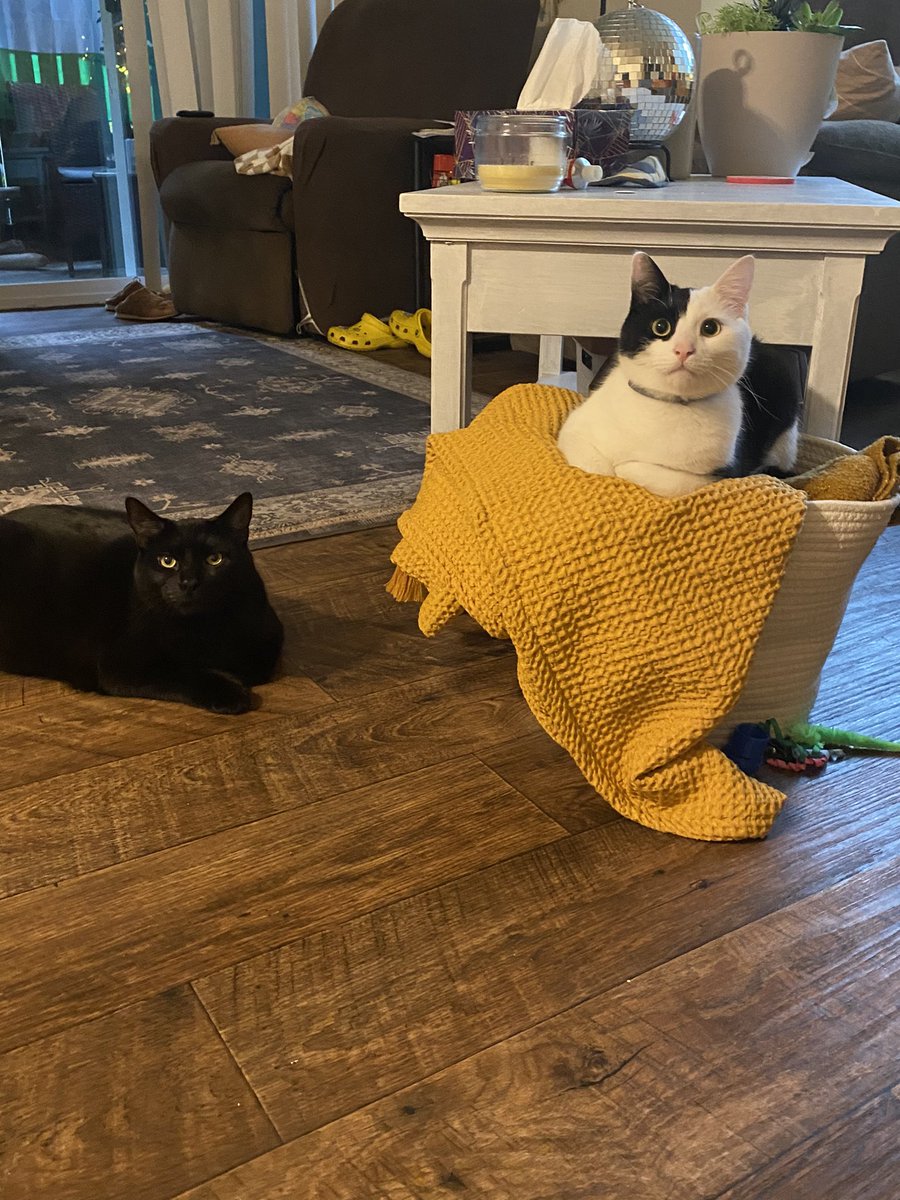 Justin Thomas tweet media