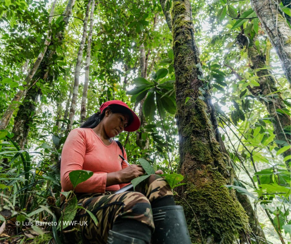 WWFColombia's tweet photo. Este miércoles 18 de mayo, a las 10 a. m., continuará el segundo debate en la plenaria del Senado para ratificar el #AcuerdoDeEscazú. 

Hacemos un llamado a todos los senadores para que demuestren que la justicia ambiental no tiene partido político y #RatifiquenEscazú. https://t.co/YtjPxUDqJr