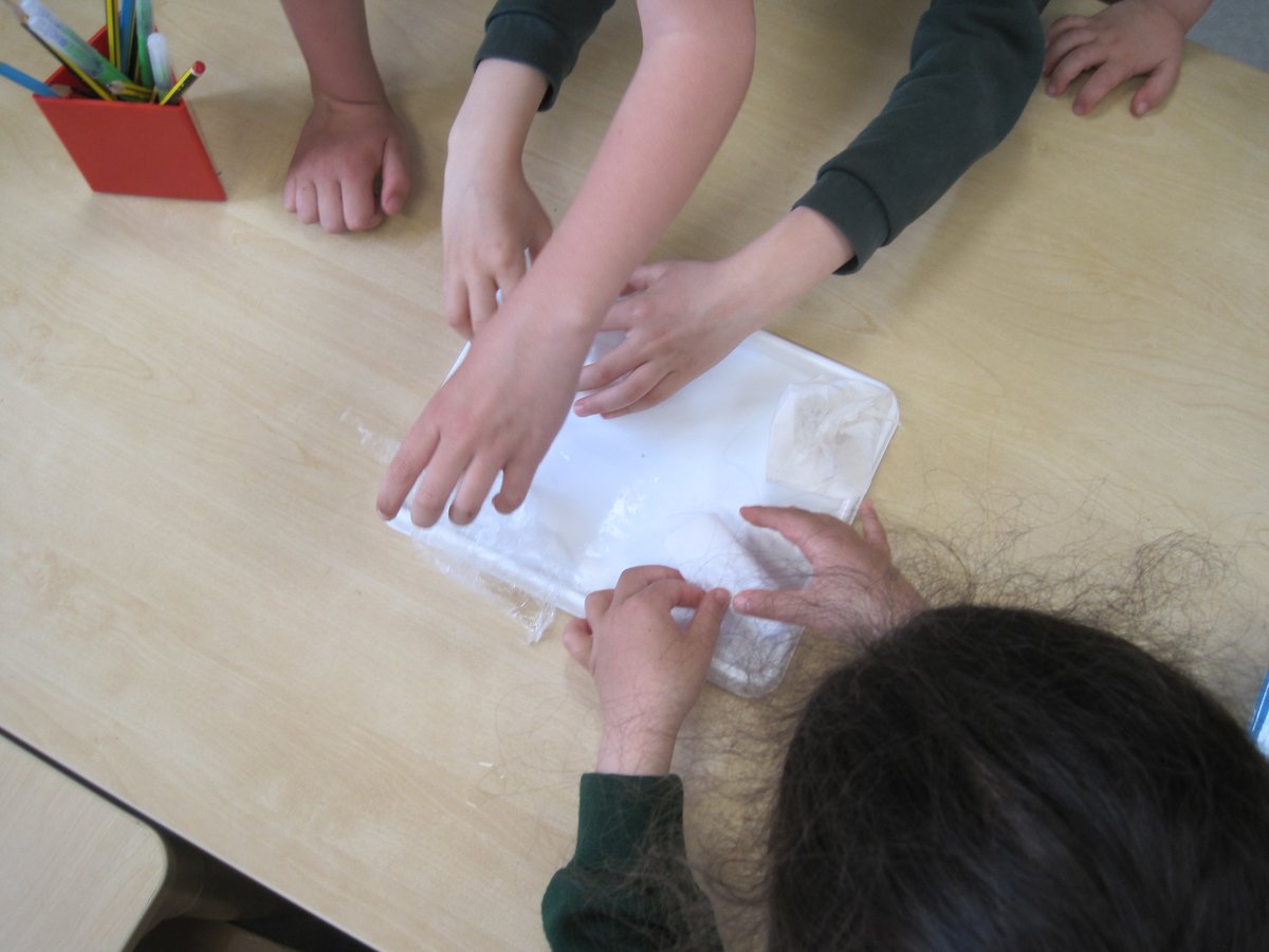 Discovery_Y1's tweet photo. Year 1 have been investigating which materials melt ice the quickest! #inquisitive #scientists https://t.co/AM2X38GIHf