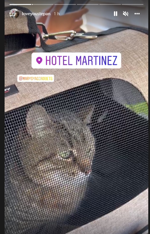 BreizhJulia's tweet photo. The most famous cat of Ukraine STEPAN just arrived in Cannes where he is nominated for the World Influencers and Bloggers Awards. 😻🇺🇦🇺🇦🇺🇦
#loveyoustepan @loveyoustepan #StandWithUkraine #StopPutin #stopwar #catplomacy https://t.co/nY6GEDhv2i