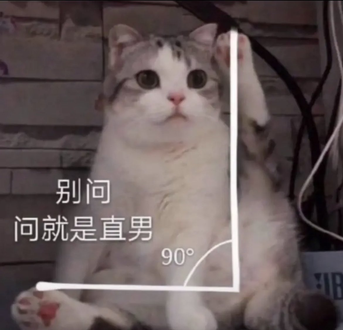 一起去养猪呗(可联名版) tweet media