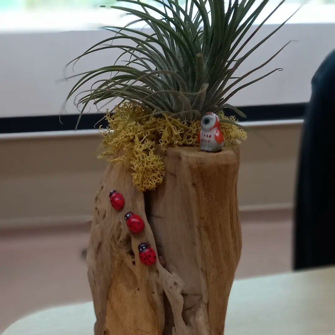 ptm_prabha's tweet photo. Landscaping workshops are suitable for our Seniors. A workshop for staff could benefit our Seniors too.
@artsageingntu; #artsageing #AG6309Wk12AY21T13 https://t.co/MhZI2gXlbY