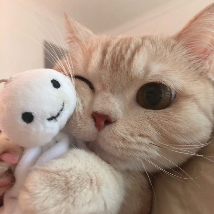 ✿ 𐬹 P'Rin Opennn .ᐟ 🧤₊ tweet media