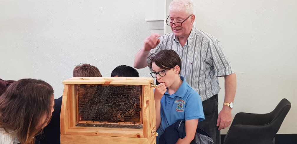 kildarelibrary's tweet photo. We had a delightful morning here in #AthyLib. @athymodel School Classes 3rd &amp; 4th, came to be presented with their Bug Motel Managers Certificate. We had a lovely surprise for them, Louis Bolger a local beekeeper gave an exciting &amp; very informative talk on Irish Bees &amp; Beekeeping https://t.co/W0UMs78hZF