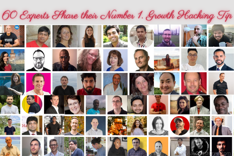 GuestCrew Social tweet media