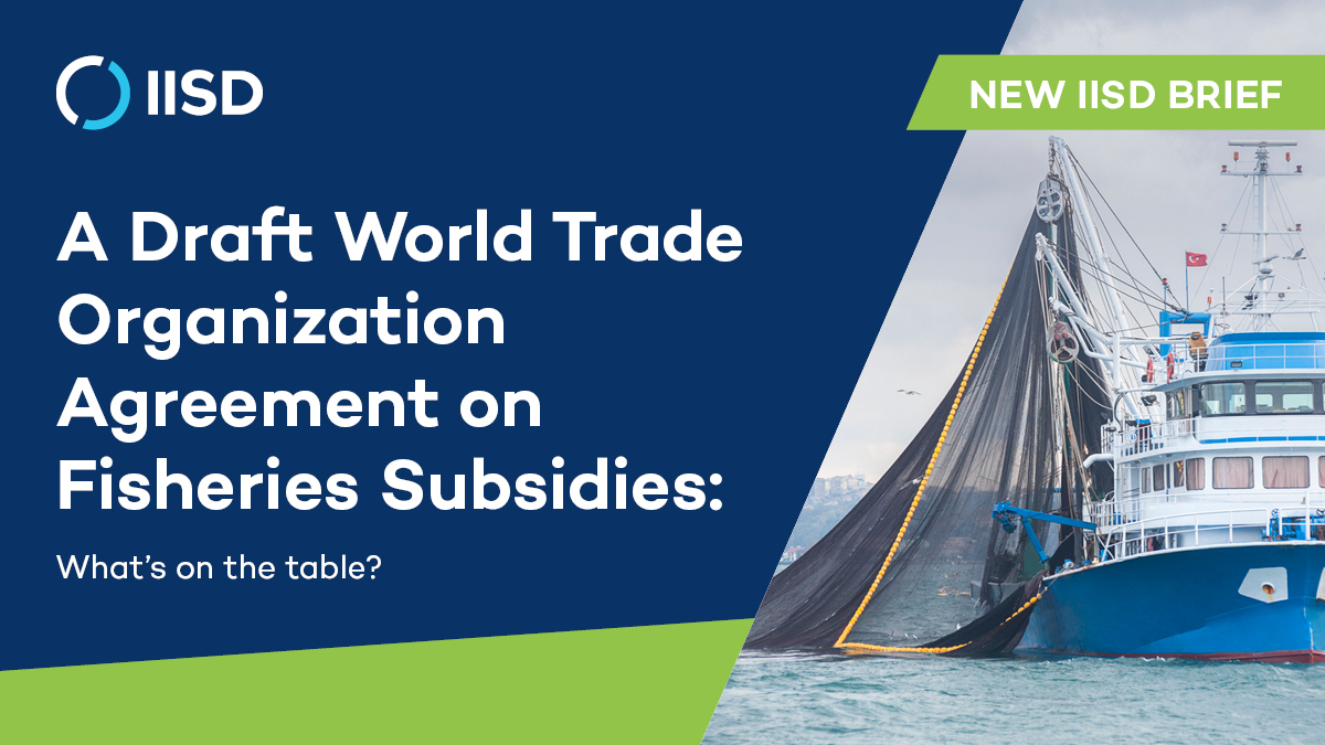 IISD_ELP's tweet photo. NEW BRIEF: A @WTO fisheries subsidies agreement is possible this June! What is included and what questions remain?

As negotiations enter their final phase, IISD experts break down the draft text for policy-makers.

Full story:
https://t.co/FkkypWbtM9 https://t.co/mlKM7IKSxN