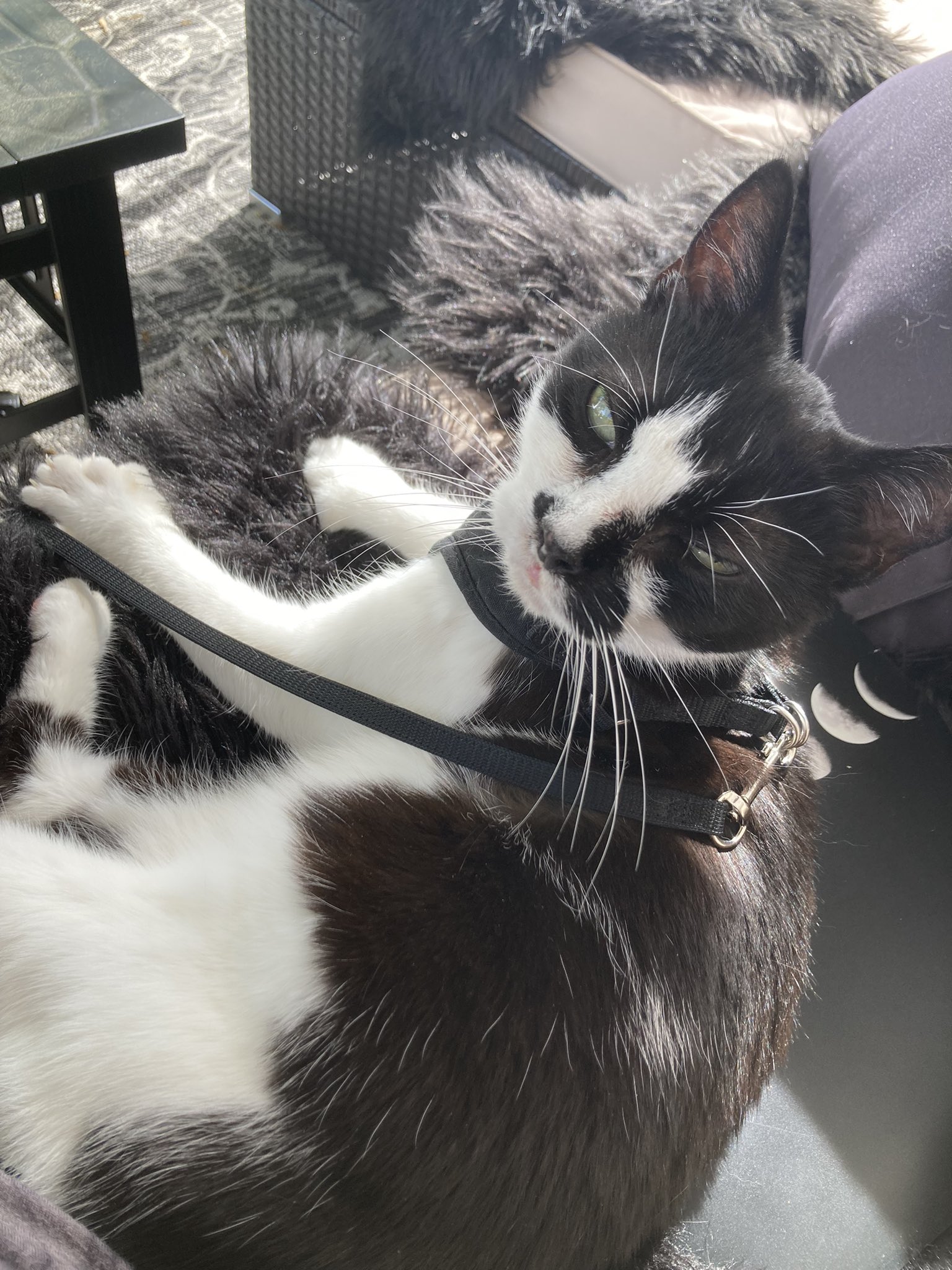 Insert trendy bandwagon topic with emojis here on Twitter "Oh yeahhh