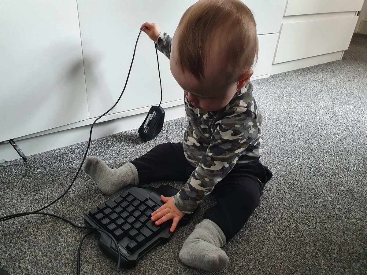Benny_BBop's tweet photo. Pro Gamer Training Begins! #streamerlife #babytraining #progamer #baby #pcgamer https://t.co/7Qfvq69LS2