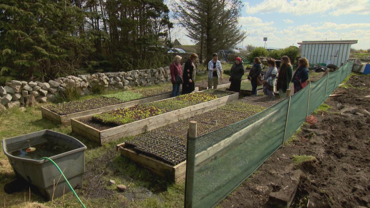 RTENationwide's tweet photo. On tonight's show we are in Connemara to meet Margaret Leahy, who runs a business showcasing local artisan producers as part of her food tours enterprise for solo travellers @gardenngather on #RTENationwide Wednesday 18th May @RTEOne 7pm @rte  @farmersjournal @CTribune RT https://t.co/rIXHW0JgLm