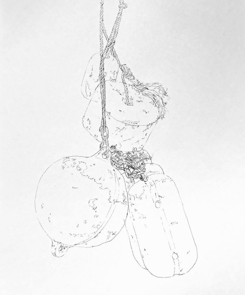 SHIBATA_Mami's tweet photo. フロートフェンダー2
#drawing #freehanddrawing #ballpendrawing #illustration #fender #rope #boatfenders #atbeach #hanging
#shibatamami #イラストレーション #ロープ https://t.co/8xpYJ7l6gC https://t.co/e16Y1eEqgv