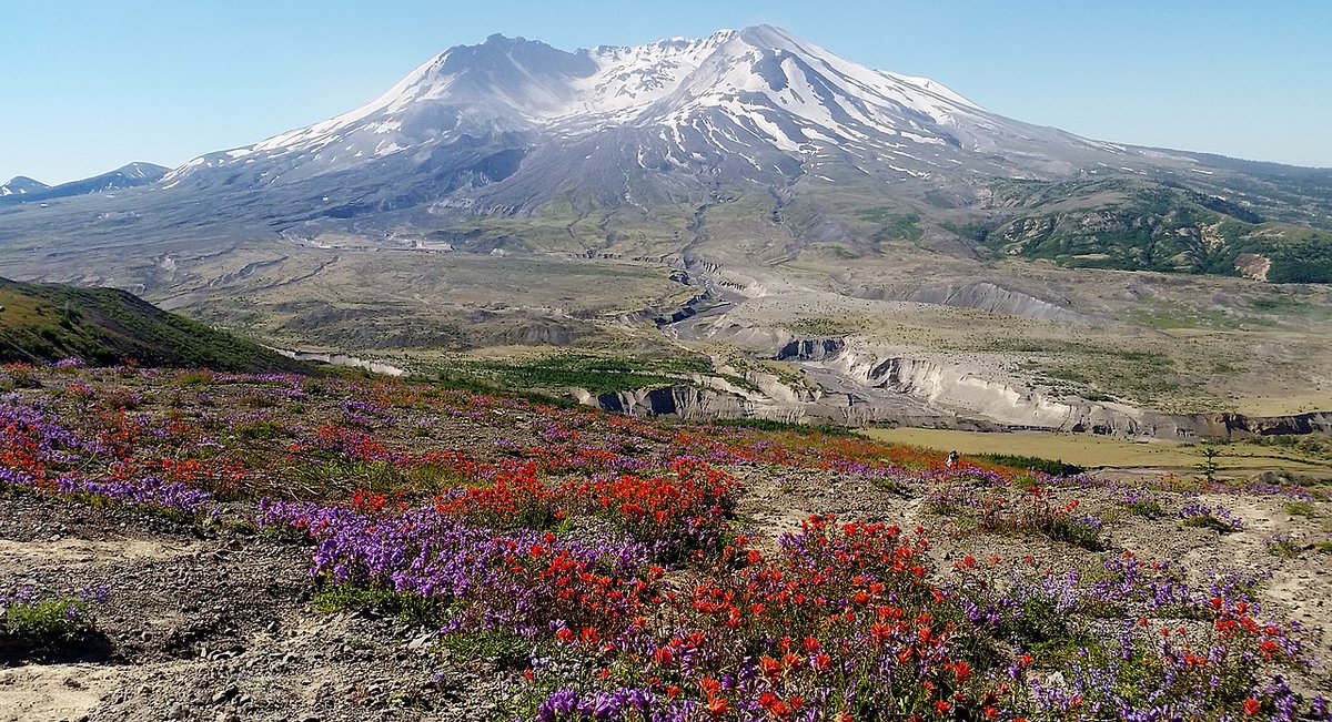 All Classical Radio tweet media