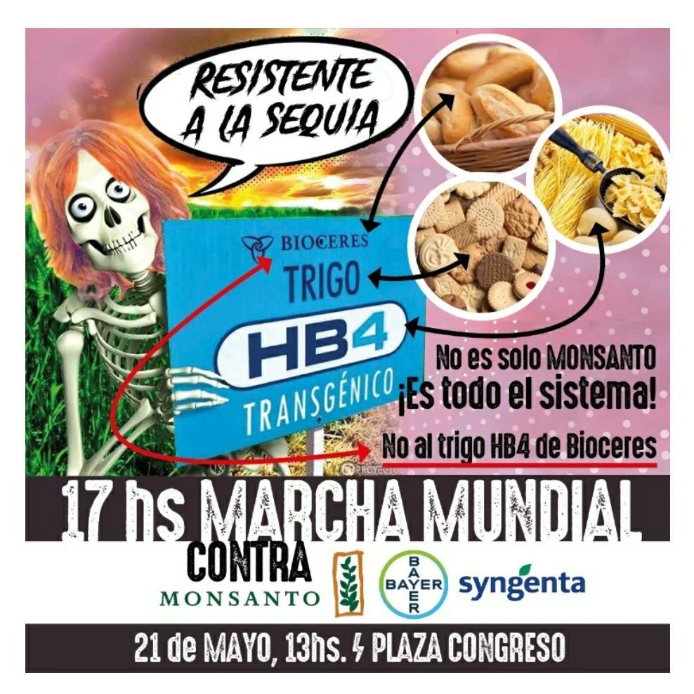 BlausteinMatias's tweet photo. Marcha mundial contra Monsanto, Bayer, Syngenta

Allí estaremos compartiendo unas palabras y unos abrazos.

#bastadeagrotóxicos 
#bastadeagronegocio 
#bastadevenenos 
#bastadefalsassoluciones 
#poderdirectodelpueblo https://t.co/jyEhimnS9D