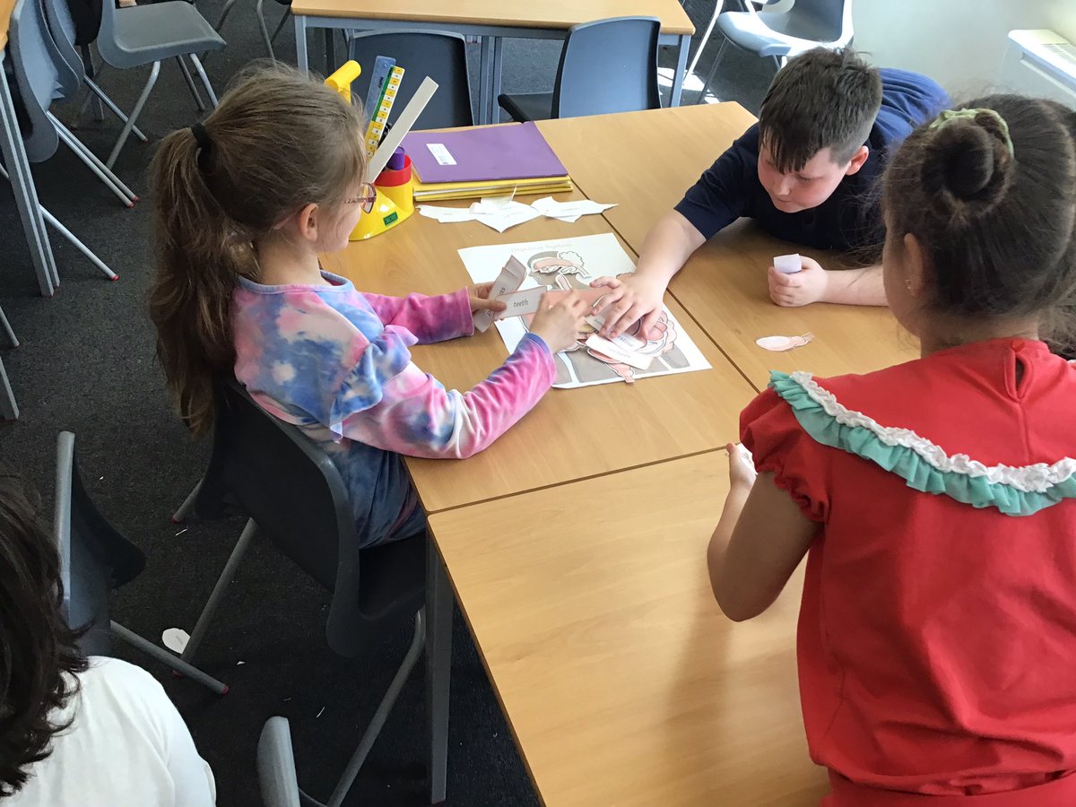 SacredY4's tweet photo. We have been learning about nutrition and how our bodies are fuelled. We learnt about the digestive system and the functions of each of the parts. #SH7Science https://t.co/fhA1TEmr1w