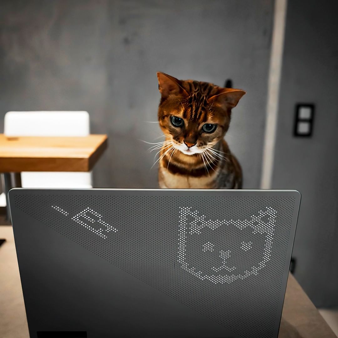 ASUSbyMacMan's tweet photo. Dale like si también tienes un compañero fiel de partidas. 🐱💻
➡️ https://t.co/CyyCbdN91H
#Asus #ROG #AsusStore #MacMan #Barcelona #ROG #RepublicOfGamers #videojuegos🎮 #Gamers #AnimeMatrix #RGB #PC #Gaming #mascota #cat #compañero #catlovers #amoranimal https://t.co/3iXUIjuwZA