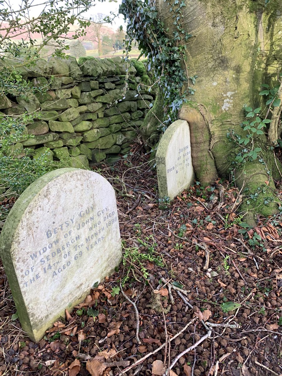 HistChurchScot's tweet photo. Nature prevails #TreesInChurches 
Quaker burial ground, Briggflatts, near #Sedbergh ⁦@yorkshire_dales⁩
#AnimalsInChurchesHour https://t.co/wsvrcL6oWs
