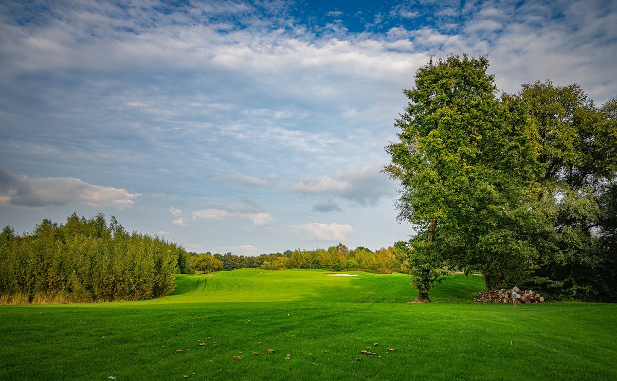 MovingtoDFW's tweet photo. DFW is home to over 200 golf courses. The top five public golf courses are:
1. Texas Star Golf Course
2. Tierra Verde Golf Club
3. The Tribute Golf Club
4. Dallas Cowboys Golf Club
5. Stevens Park Golf Course

#movingtodfw #thingstodoindfw https://t.co/BLksN4Oy4d